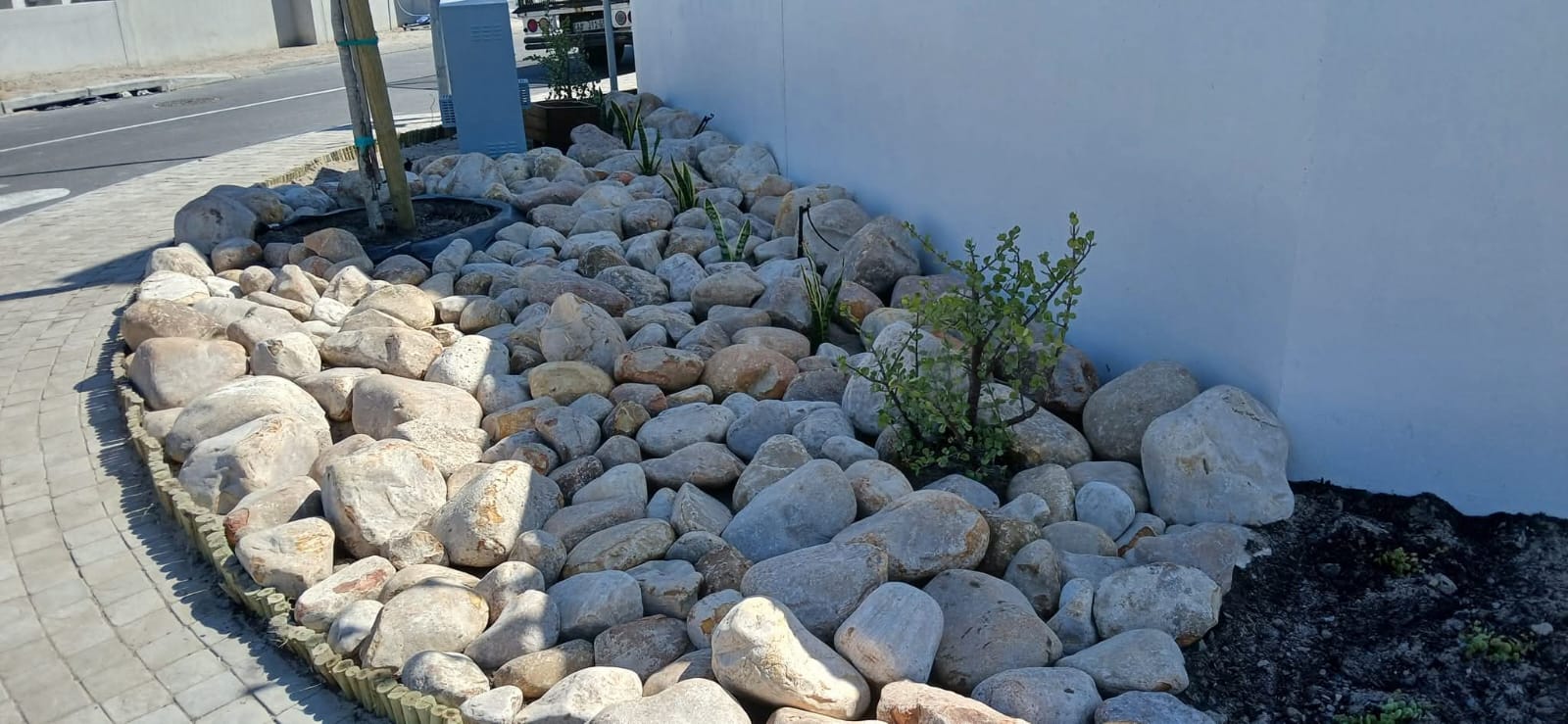 Rockery landscaping with indigenous plants