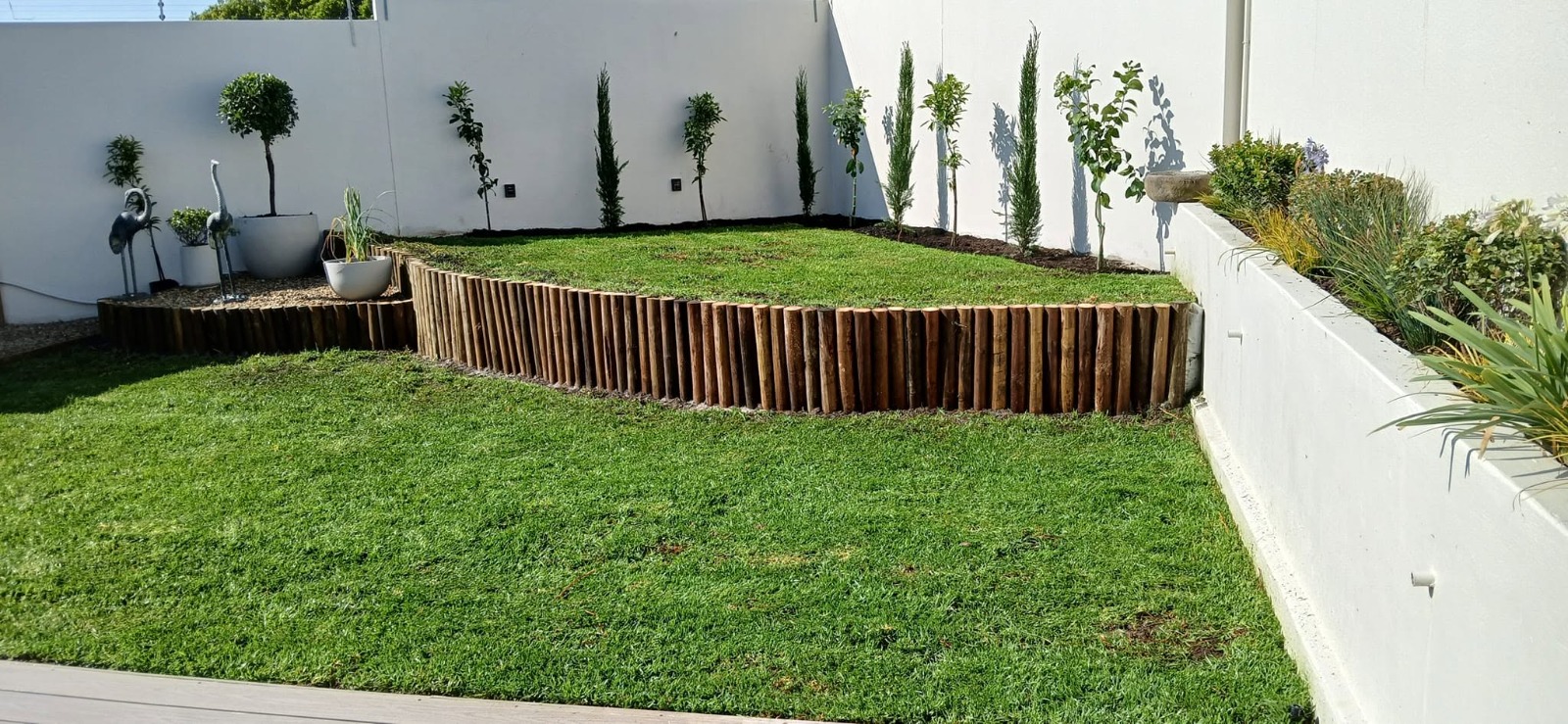 Fresh lawn installation with timber edging