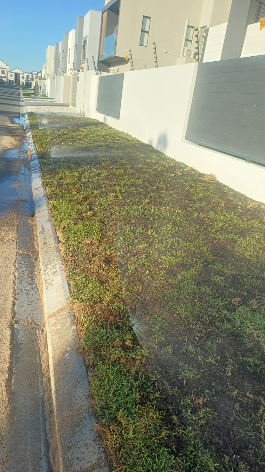 New lawn with pop-up irrigation sprinklers
